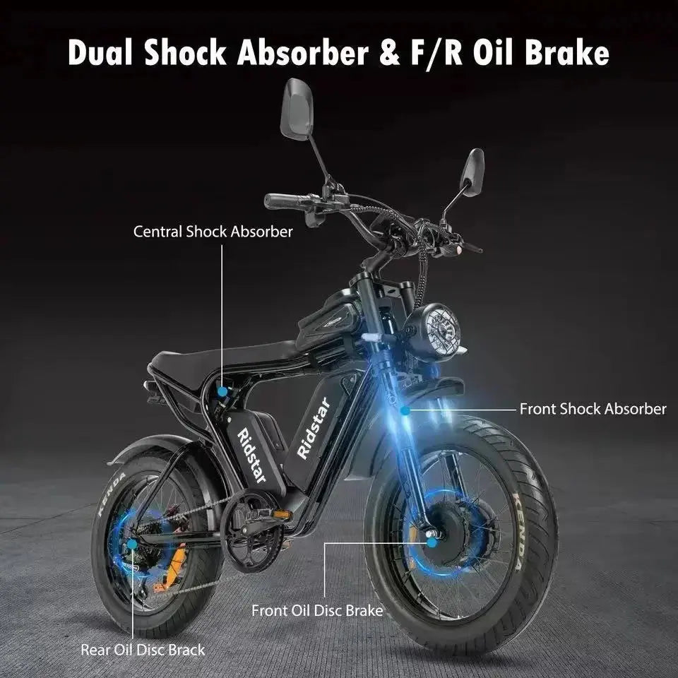Ridstar Q20 52V40AH 2000W electric bicycle dual motor battery 20*4-inch fat tires e-bike Mountain Snow Electric Bike off-road PowerGlide Motors & Accessories