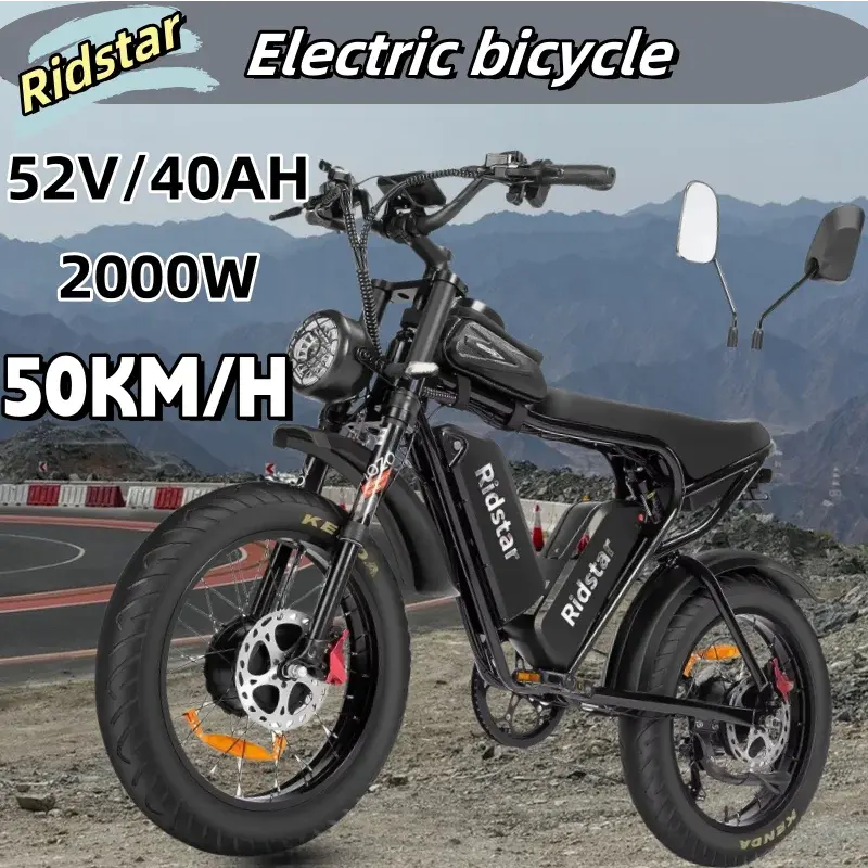 Ridstar Q20 52V40AH 2000W electric bicycle dual motor battery 20*4-inch fat tires e-bike Mountain Snow Electric Bike off-road PowerGlide Motors & Accessories