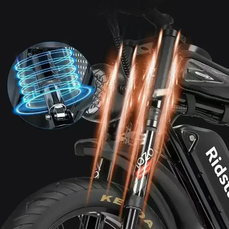 Ridstar Q20 52V40AH 2000W electric bicycle dual motor battery 20*4-inch fat tires e-bike Mountain Snow Electric Bike off-road PowerGlide Motors & Accessories