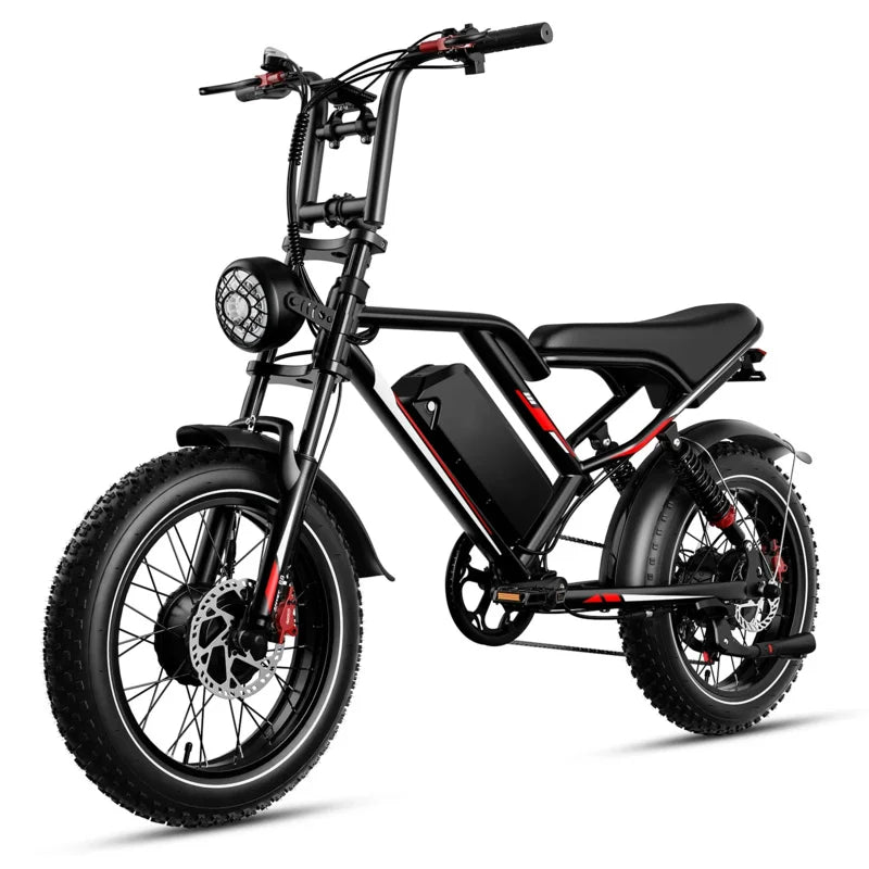 20 Inch Off-Road Electric Bicycle with 1000W Motor